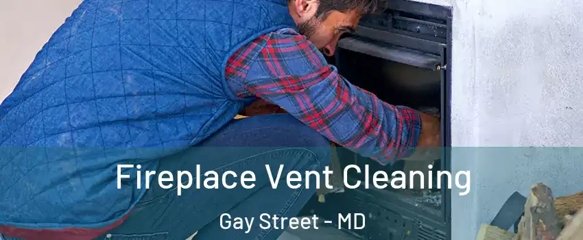 Fireplace Vent Cleaning Gay Street - MD