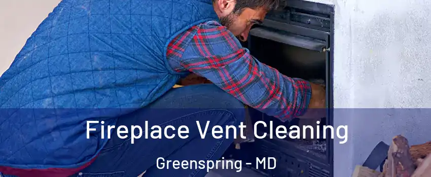 Fireplace Vent Cleaning Greenspring - MD
