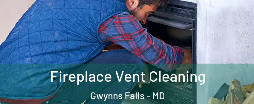 Fireplace Vent Cleaning Gwynns Falls - MD