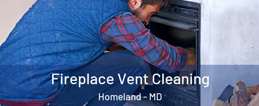 Fireplace Vent Cleaning Homeland - MD