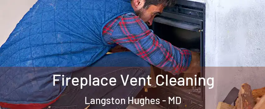 Fireplace Vent Cleaning Langston Hughes - MD