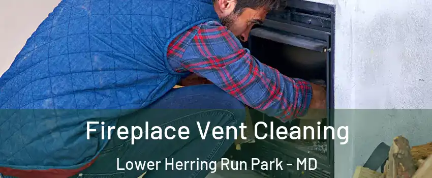 Fireplace Vent Cleaning Lower Herring Run Park - MD