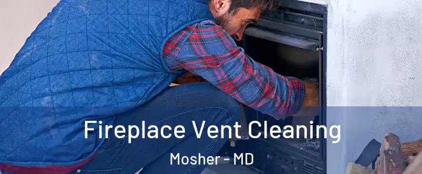 Fireplace Vent Cleaning Mosher - MD