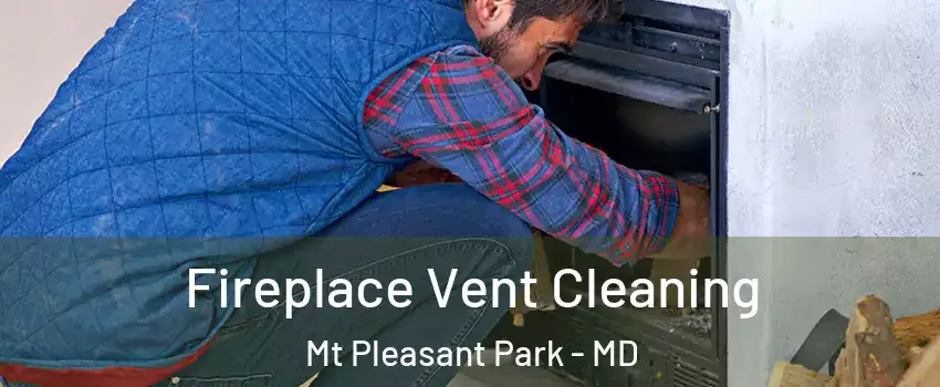 Fireplace Vent Cleaning Mt Pleasant Park - MD