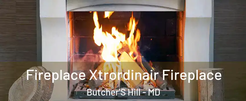 Fireplace Xtrordinair Fireplace Butcher'S Hill - MD