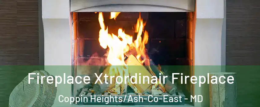 Fireplace Xtrordinair Fireplace Coppin Heights/Ash-Co-East - MD