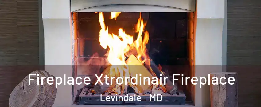 Fireplace Xtrordinair Fireplace Levindale - MD