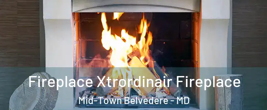 Fireplace Xtrordinair Fireplace Mid-Town Belvedere - MD