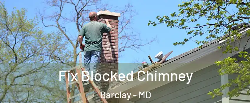 Fix Blocked Chimney Barclay - MD