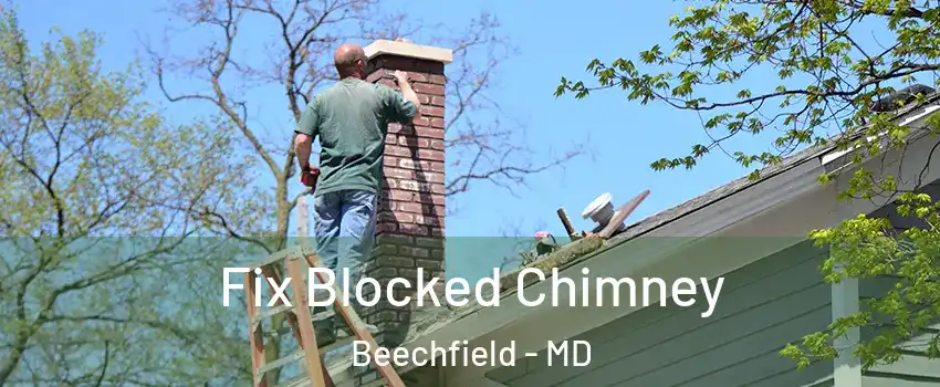 Fix Blocked Chimney Beechfield - MD