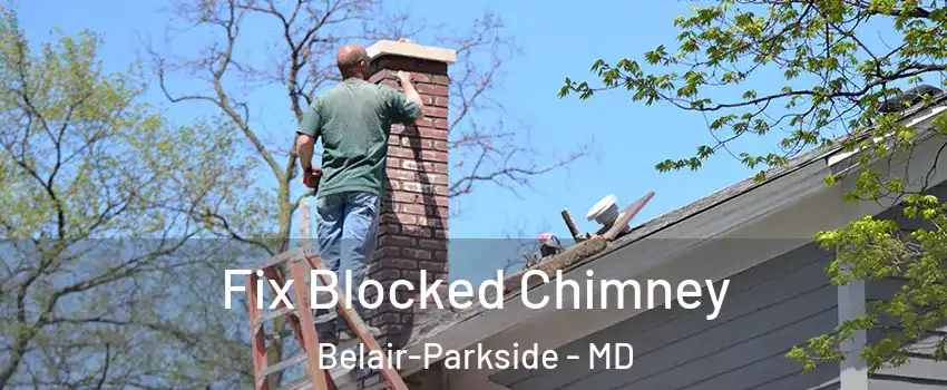 Fix Blocked Chimney Belair-Parkside - MD