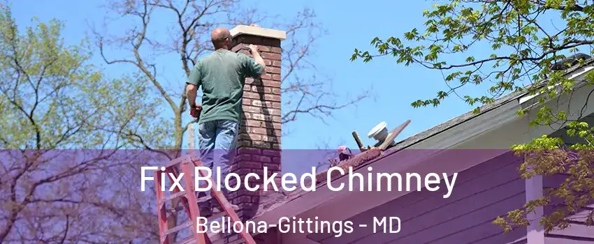 Fix Blocked Chimney Bellona-Gittings - MD