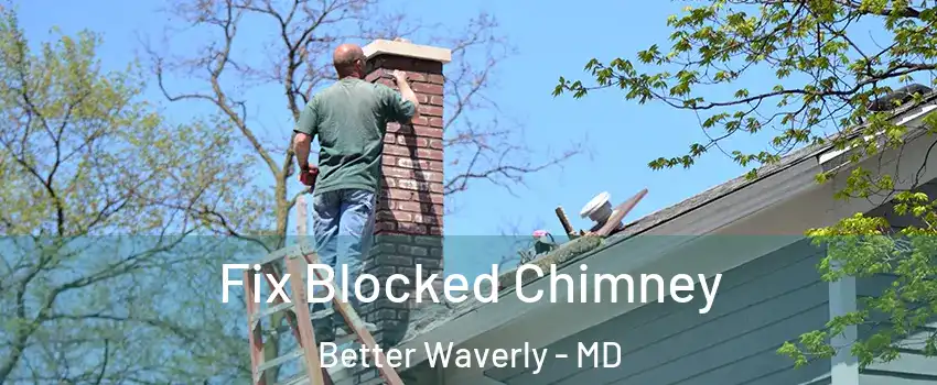 Fix Blocked Chimney Better Waverly - MD