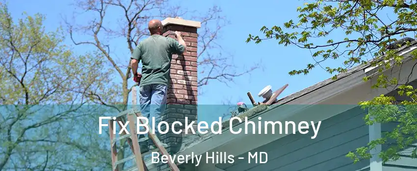 Fix Blocked Chimney Beverly Hills - MD