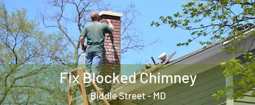 Fix Blocked Chimney Biddle Street - MD