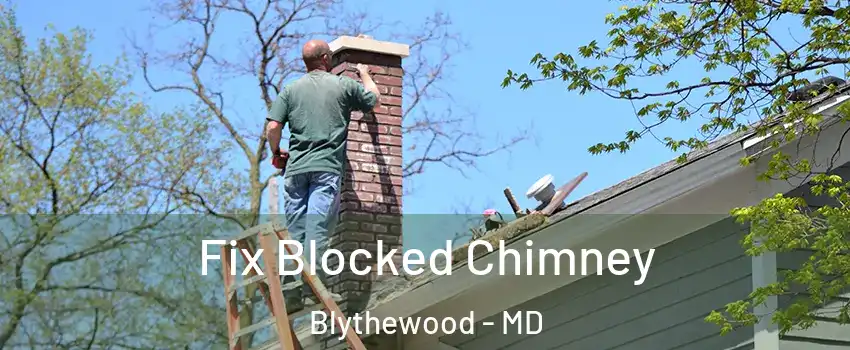 Fix Blocked Chimney Blythewood - MD