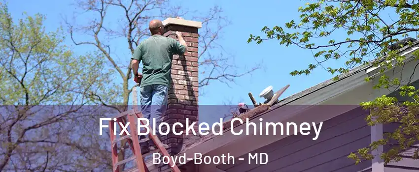 Fix Blocked Chimney Boyd-Booth - MD