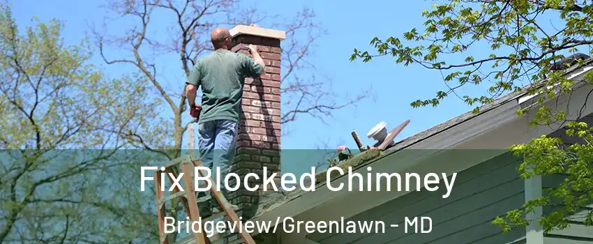 Fix Blocked Chimney Bridgeview/Greenlawn - MD