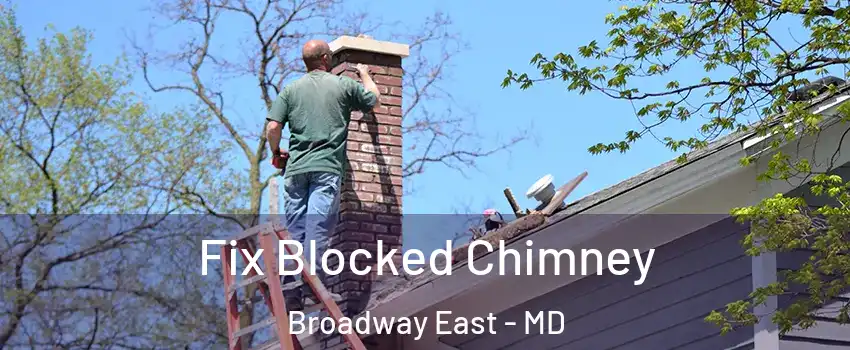 Fix Blocked Chimney Broadway East - MD