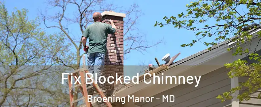 Fix Blocked Chimney Broening Manor - MD
