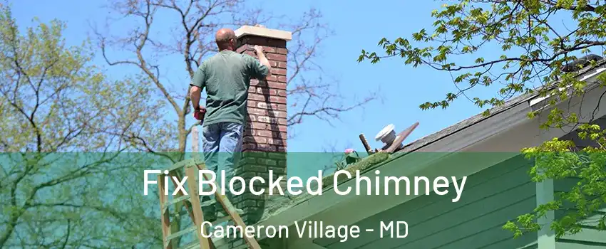Fix Blocked Chimney Cameron Village - MD