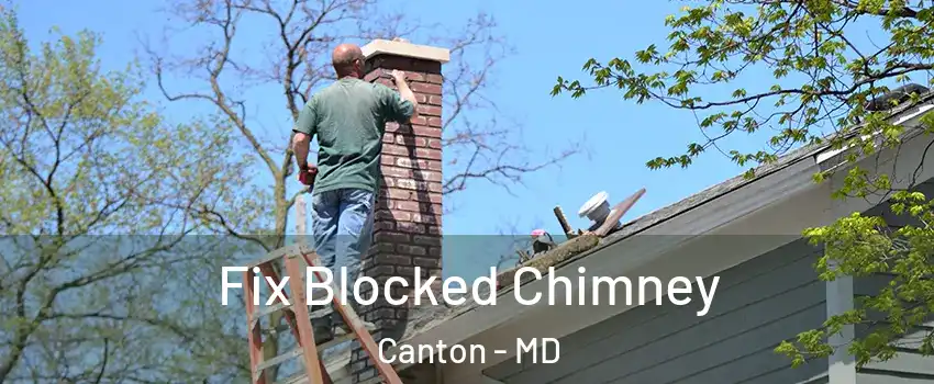 Fix Blocked Chimney Canton - MD