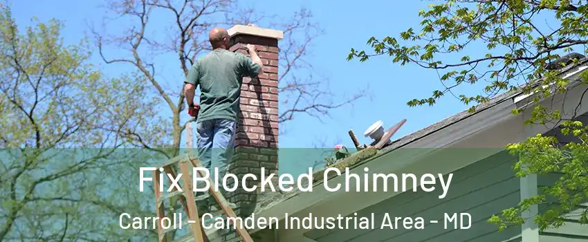 Fix Blocked Chimney Carroll - Camden Industrial Area - MD