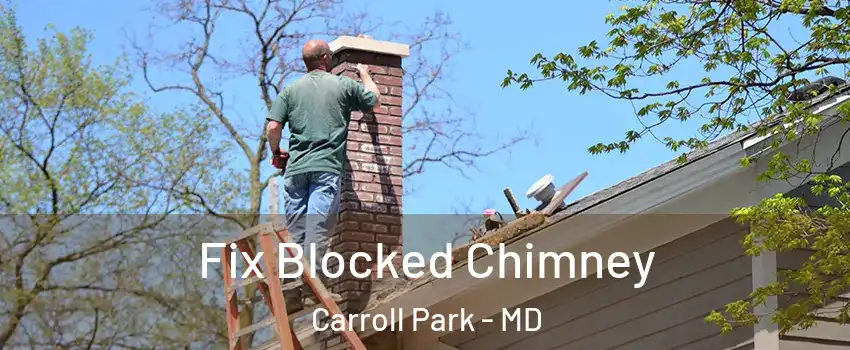 Fix Blocked Chimney Carroll Park - MD