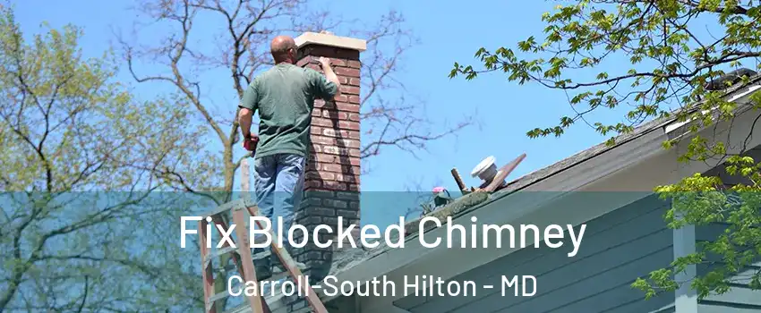 Fix Blocked Chimney Carroll-South Hilton - MD