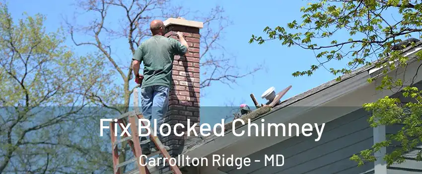 Fix Blocked Chimney Carrollton Ridge - MD