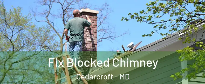 Fix Blocked Chimney Cedarcroft - MD