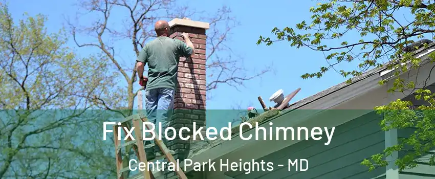 Fix Blocked Chimney Central Park Heights - MD