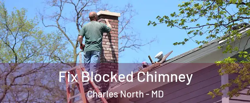 Fix Blocked Chimney Charles North - MD