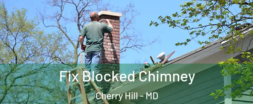 Fix Blocked Chimney Cherry Hill - MD