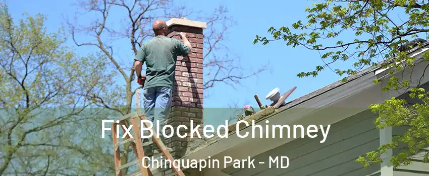 Fix Blocked Chimney Chinquapin Park - MD