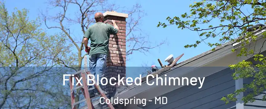 Fix Blocked Chimney Coldspring - MD