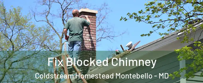 Fix Blocked Chimney Coldstream Homestead Montebello - MD