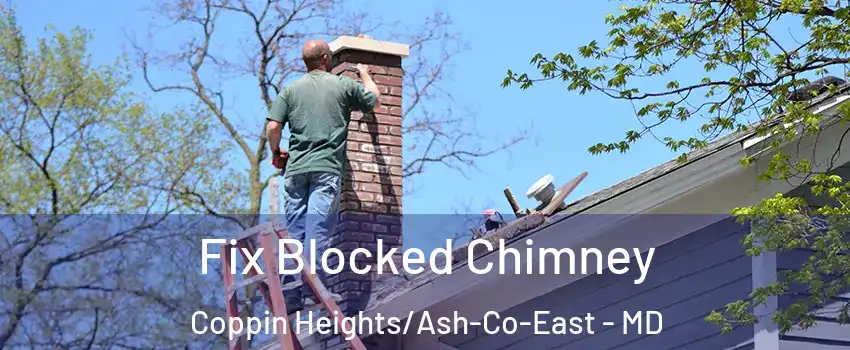 Fix Blocked Chimney Coppin Heights/Ash-Co-East - MD