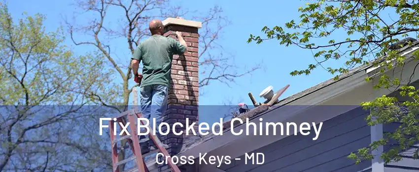 Fix Blocked Chimney Cross Keys - MD