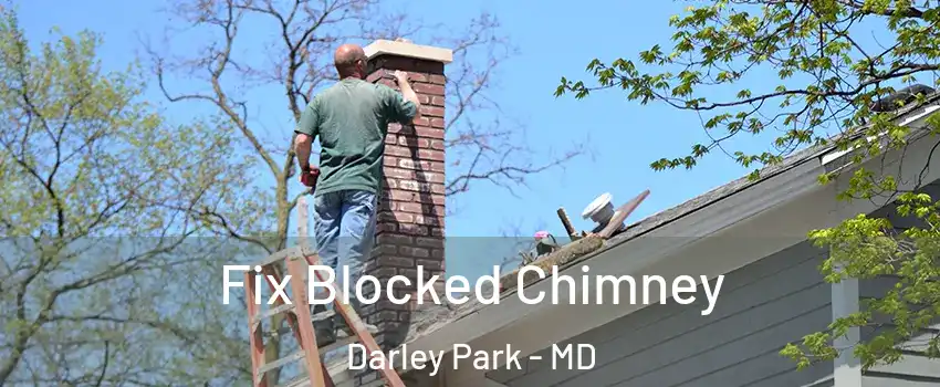 Fix Blocked Chimney Darley Park - MD