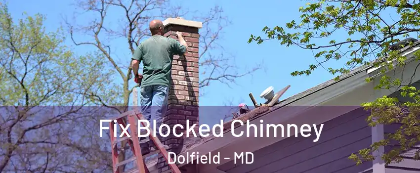 Fix Blocked Chimney Dolfield - MD
