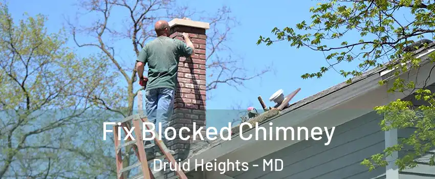 Fix Blocked Chimney Druid Heights - MD