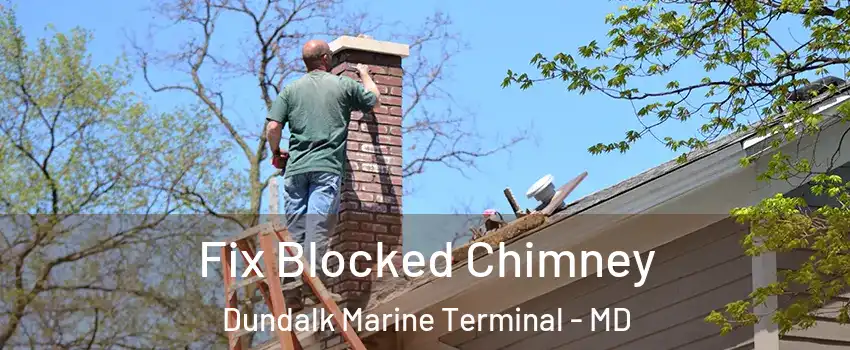 Fix Blocked Chimney Dundalk Marine Terminal - MD