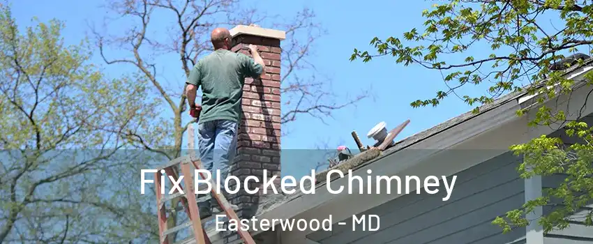 Fix Blocked Chimney Easterwood - MD