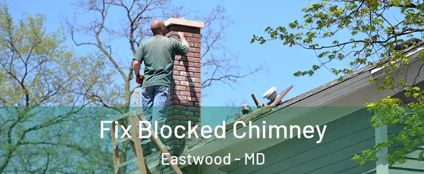 Fix Blocked Chimney Eastwood - MD