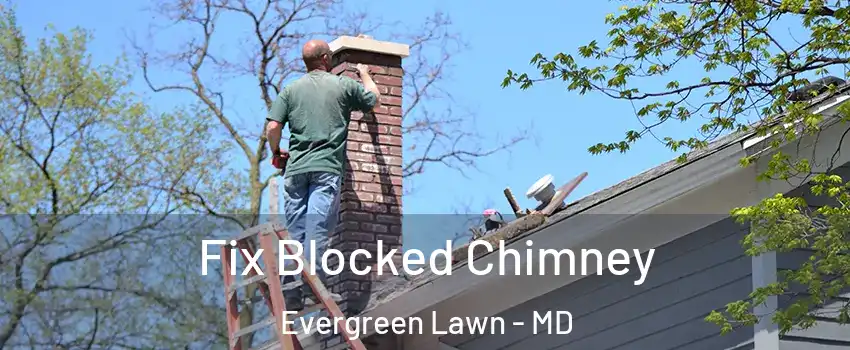 Fix Blocked Chimney Evergreen Lawn - MD