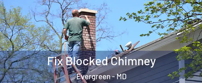 Fix Blocked Chimney Evergreen - MD