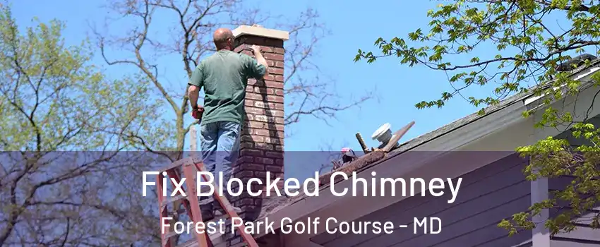 Fix Blocked Chimney Forest Park Golf Course - MD