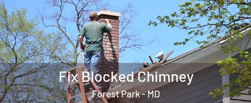 Fix Blocked Chimney Forest Park - MD