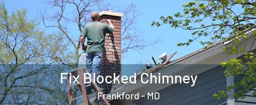 Fix Blocked Chimney Frankford - MD